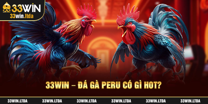 33win - Đá gà Peru có gì hot?