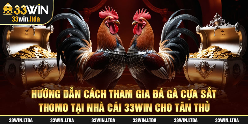 Hướng dẫn cách tham gia đá gà cựa sắt Thomo tại nhà cái 33win cho tân thủ