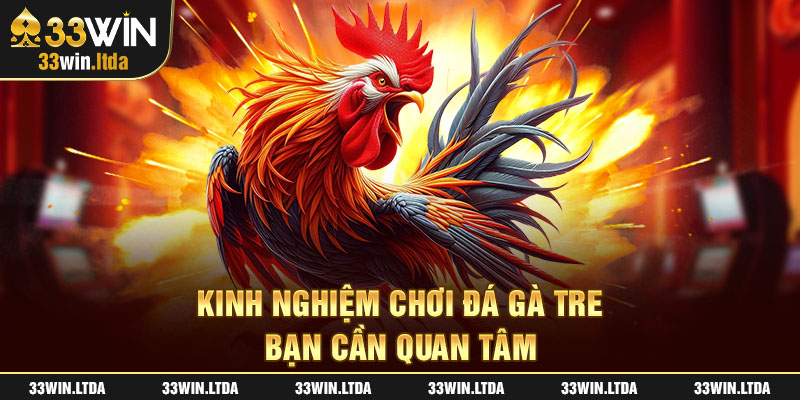 Kinh nghiệm chơi đá gà tre bạn cần quan tâm 