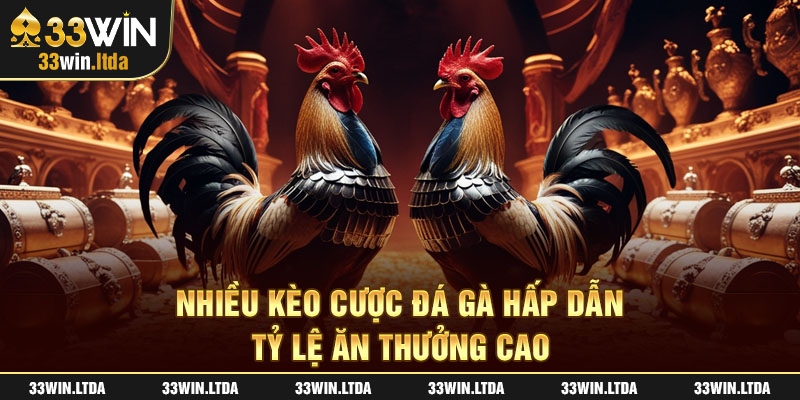 Nhiều kèo cược đá gà hấp dẫn tỷ lệ ăn thưởng cao