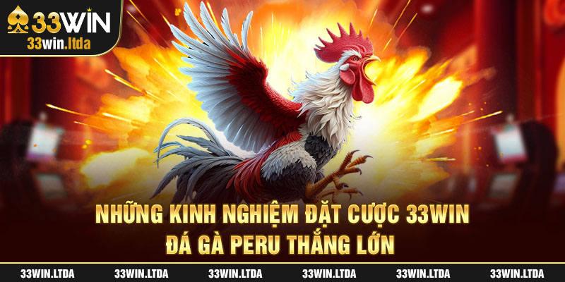 Những kinh nghiệm đặt cược 33win - Đá gà Peru thắng lớn 