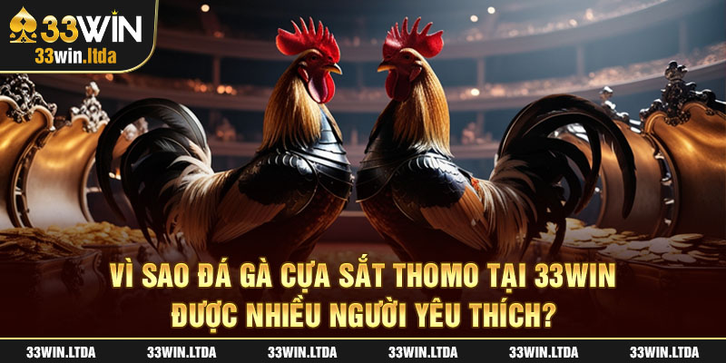 Vì sao đá gà cựa sắt Thomo tại 33win được nhiều người yêu thích?